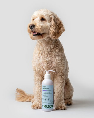 Huile de saumon 100% complément alimentaire pour chiens pour l'immunité et l'énergie Oggo 250 ml - 2