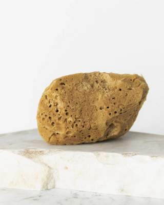 Éponge de mer naturelle brune 9,5 cm 02F hypoallergénique et antibactérienne Hhuumm