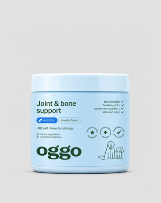 Complément pour les articulations et les os des chiens de grande race, actifs, âgés Joint & Bone Support Oggo 180 g - 1