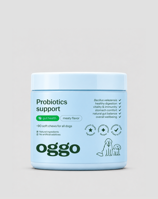 Probiotique pour chien Bacillus velezensis pour la digestion, les intestins et l'immunité Oggo 180 g - 1