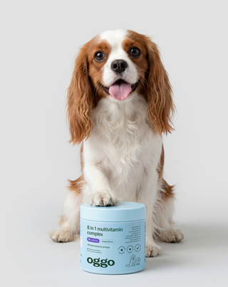 8 en 1 complex complément multivitaminé pour la santé et l'énergie de votre animal Oggo 180 g - 2