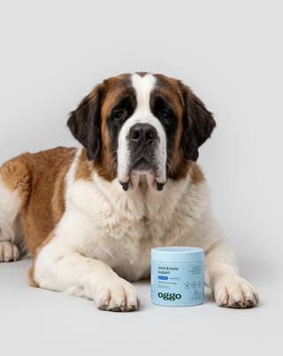 Joint & Bone Support Aliment complémentaire pour articulations et os des chiens Oggo 180 g - 3