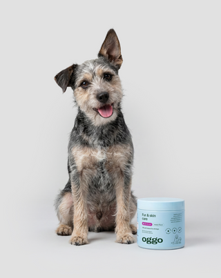 Karma complémentaire Fur & Skin pour chiens pour un pelage magnifique et une peau saine Oggo 180 g - 2