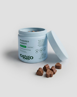 Probiotiques pour chiens karma complémentaire pour chiens digestion, système digestif et immunité oggo 180 g - 4