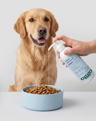 Huile de saumon 100% complément alimentaire pour chiens pour l'immunité et l'énergie Oggo 250 ml - 3