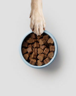 Joint & Bone Support Aliment complémentaire pour articulations et os des chiens Oggo 180 g - 5