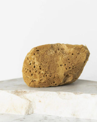 Éponge de mer naturelle brune 9,5 cm 02F hypoallergénique et antibactérienne Hhuumm