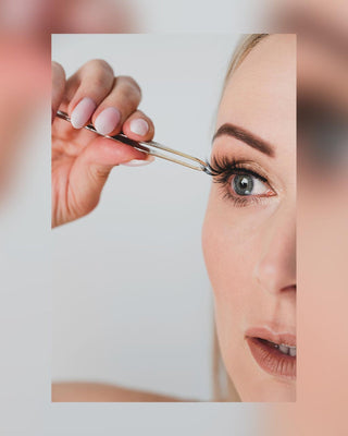 Faux cils en bande 2d à usage répété Scrumptious Look Bamm!Lashes